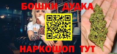 тгк Будённовск