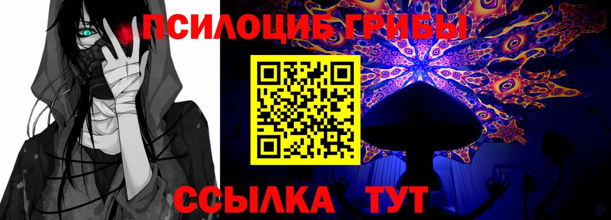 Нурлат  Галлюциногенные грибы мицелий  Вход с VPN 